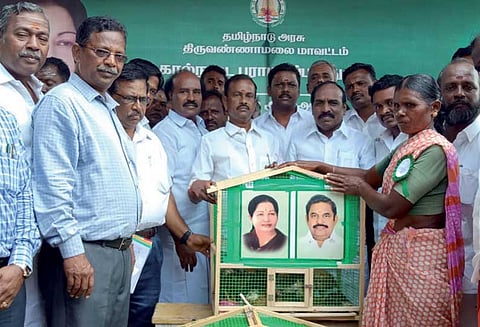 ஆரணி அருகே விண்ணமங்கலத்தில் 600 பயனாளிகளுக்கு விலையில்லா கோழிக்குஞ்சுகள் அமைச்சர் சேவூர் ராமச்சந்திரன் வழங்கினார்
