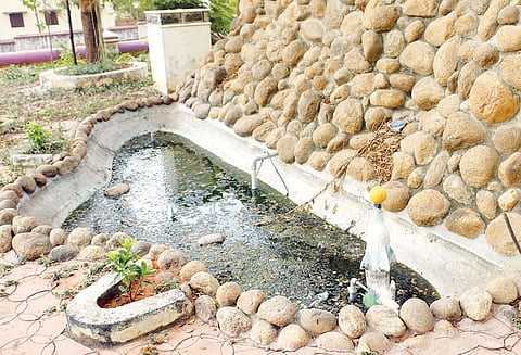 குமரி கலெக்டர் அலுவலக வளாகத்தில் நோய் பரப்பும் செயற்கை நீரூற்று நடவடிக்கை எடுக்காமல் அதிகாரிகள் மெத்தனம்