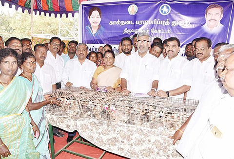 கிராமங்களில் பயனாளிகளுக்கு விலையில்லா நாட்டுக்கோழி குஞ்சுகள், வெள்ளாடுகள் அமைச்சர்கள் வழங்கினர்