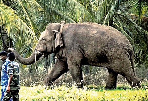 சின்னதம்பி தரும் வாழ்க்கை பாடம்