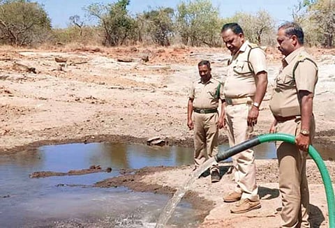 சீகூர் வனப்பகுதியில், நீர்நிலைகளில் தண்ணீர் நிரப்பும் பணி மும்முரம்