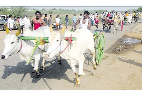 ஸ்ரீவைகுண்டம் அருகே மாட்டு வண்டி பந்தயம்