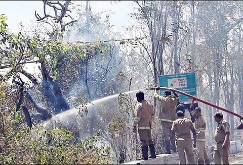 கொடைக்கானல் அருகே மயிலாடும்பாறை பகுதியில் காட்டுத்தீ