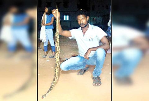 தேனி அருகே வீட்டுக்குள் புகுந்த பாம்பு