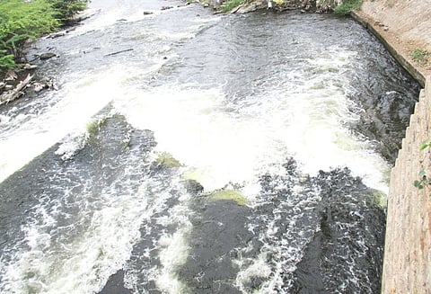 நொய்யல் ஆற்றில் கலக்கும் சாயக்கழிவுகள் நடவடிக்கை எடுக்க பொதுமக்கள் கோரிக்கை