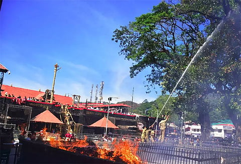சபரிமலையில் பழமையான ஆலமரம் தீப்பிடித்து எரிந்தது; பக்தர்கள் பீதி