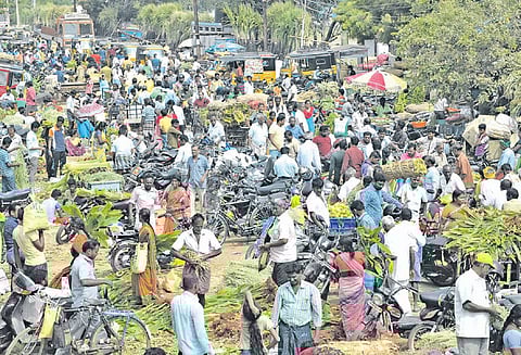பொங்கல் பொருட்கள் வாங்குவதற்கு தூத்துக்குடி மார்க்கெட்டில் அலைமோதிய மக்கள் கூட்டம்