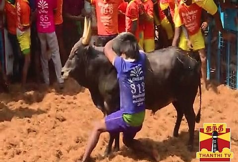 மதுரை அவனியாபுரத்தில் ஜல்லிக்கட்டு போட்டி நிறைவு; 47 பேர் காயம்