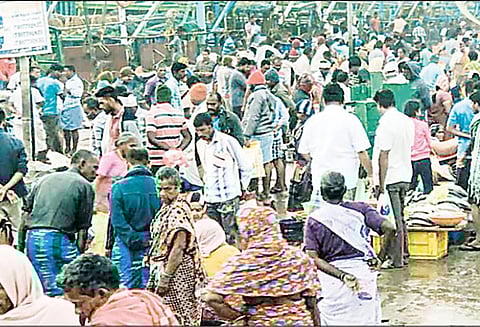 கடலூர் துறைமுகத்தில் மீன் வாங்க குவிந்த பொதுமக்கள்