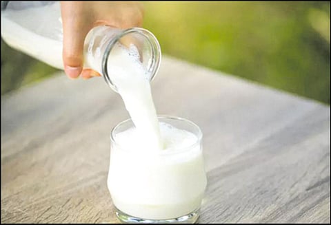 பால் கலப்பட நிறுவனங்கள் மீது எடுத்த நடவடிக்கை என்ன? பதில் அளிக்க அரசுக்கு ஐகோர்ட்டு உத்தரவு