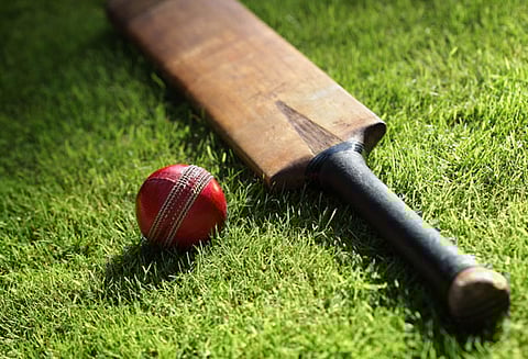 மாநில பள்ளி கிரிக்கெட்: சாந்தோம் அணி அபாரம்