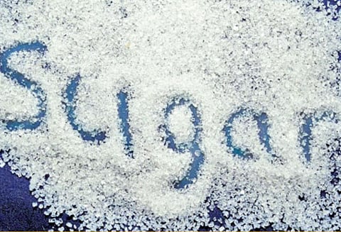 ஜனவரி 15-ந் தேதி நிலவரப்படி சர்க்கரை உற்பத்தி 8.23% உயர்ந்து 146.86 லட்சம் டன்னாக அதிகரிப்பு ஆலைகள் சங்கம் தகவல்