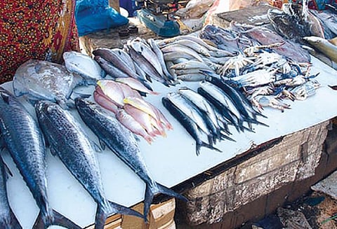 பருவநிலை மாற்றத்தால் வரத்து குறைந்தது சென்னையில் மீன்கள் விலை ‘கிடுகிடு’ உயர்வு