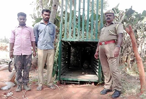 கிராம மக்களை அச்சுறுத்தும் சிறுத்தைப்புலியை பிடிக்க கூண்டு