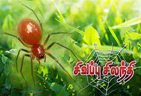 குன்னூரில் தேயிலை செடிகளில் சிவப்பு சிலந்தி தாக்குதல்