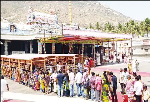 திருவண்ணாமலை அருணாசலேஸ்வரர் கோவிலில் பக்தர்கள் கூட்டம் அலைமோதியது இன்று மகா சிவராத்திரி