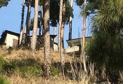 மரங்களை அழித்துவிட்டது என பாகிஸ்தானில் இந்திய விமானப்படைக்கு எதிராக வழக்குப்பதிவு