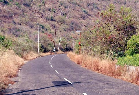 மருதமலை கோவிலுக்கு செல்லும் மலைப்பாதையில் தீத்தடுப்பு கோடு அமைக்காததால் காட்டுத்தீ பரவும் அபாயம் - உடனே நடவடிக்கை எடுக்க கோரிக்கை