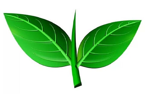 இரட்டை இலை சின்னம் மேல்முறையீட்டு வழக்கு: சுப்ரீம் கோர்ட்டில் 15-ந் தேதி விசாரணை