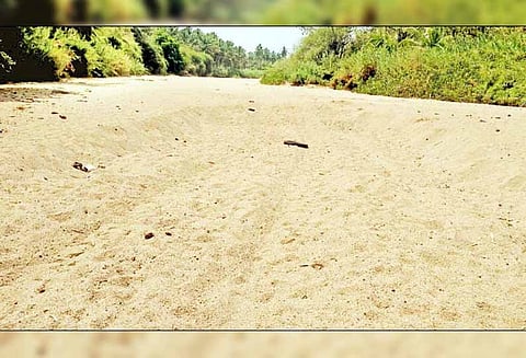 கடமலை-மயிலை ஒன்றியத்தில், மூலவைகை ஆற்றில் மணல் அள்ளும் கும்பல்