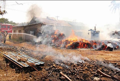 பர்கூர் அருகே, நார் தொழிற்சாலையில் தீ விபத்து - 30 தென்னை மரங்கள் வெப்பத்தால் கருகின