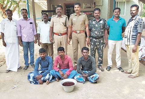 தடைசெய்யப்பட்ட கடல் மண்புழுக்கள் பிடித்த 3 பேர் கைது