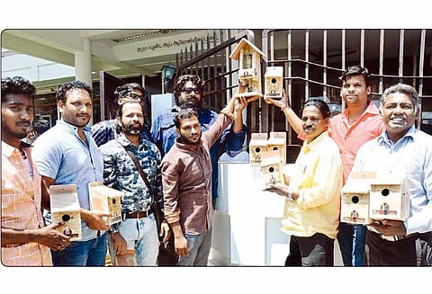 மிஷன்வீதி - கடற்கரை சாலையில் சிட்டுக்குருவிகளை பாதுகாக்க 250 கூடுகள்