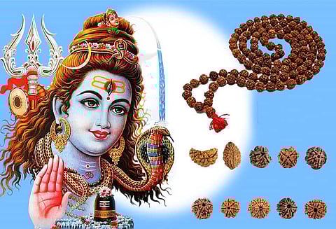 ருத்ராட்சமும்.. பயன்களும்..