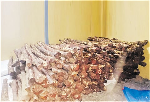 குன்றத்தூரில் குடோனில் பதுக்கிய ரூ.2½ கோடி செம்மரக்கட்டைகள் பறிமுதல்