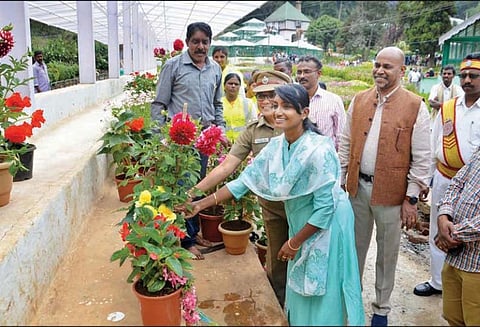 ஊட்டி தாவரவியல் பூங்காவில், 35 ஆயிரம் தொட்டிகளில் பலவண்ண பூக்கள் - மலர் கண்காட்சி பணிகள் மும்முரம்
