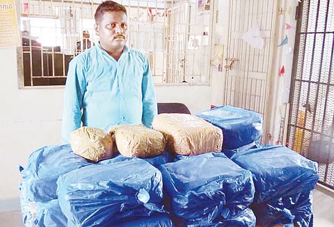 வேதாரண்யம் அருகே இலங்கைக்கு கடத்த முயன்ற 34 கிலோ கஞ்சாவுடன், வாலிபர் கைது