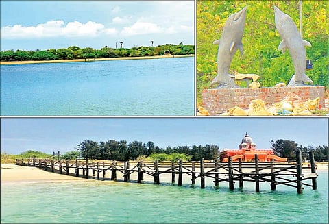 தீவுகளை கண்ணாடி படகுகளில் சென்று கண்டுகளிக்கலாம் - வனத்துறை ஏற்பாடு