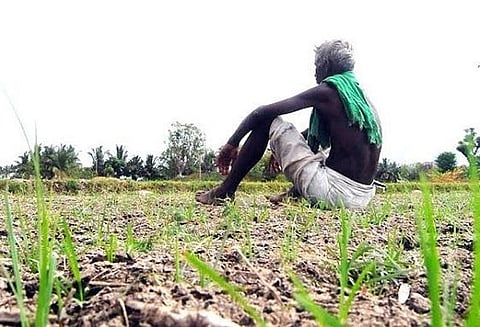 60 ஏக்கர் விளைநிலம் பயன்பெறும் மாமல்லபுரம் சோழிபொய்கை குளத்தை தூர்வார விவசாயிகள் கோரிக்கை