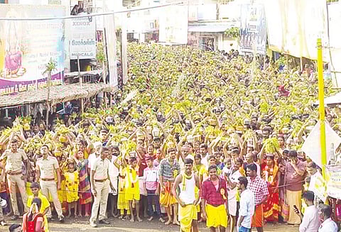 மணப்பாறையில் வேப்பிலை மாரியம்மன் கோவிலுக்கு பால்குடம் எடுத்து வந்த பக்தர்கள்