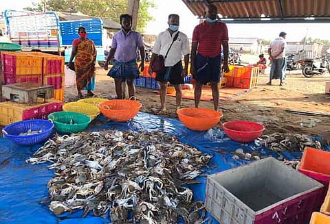 தடைக்காலம் முடிந்து கடலுக்கு சென்று திரும்பினர்: மீனவர்கள் வலையில் அதிக அளவில் சிக்கிய மீன்கள், நண்டுகள் போதிய விலை இல்லாததால் ஏமாற்றம்