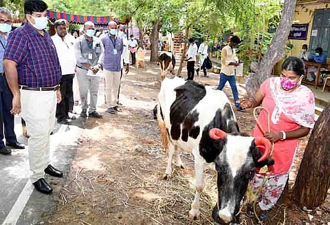 கரூர்