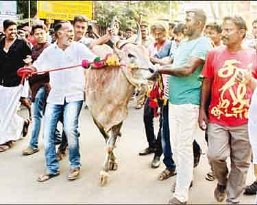 ஜல்லிக்கட்டு நடத்த அனுமதிகோரி மாணவர்கள் ஆர்ப்பாட்டம்