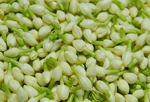 பரமத்திவேலூர் ஏலமார்க்கெட்டில் பூக்கள் விலை உயர்வு