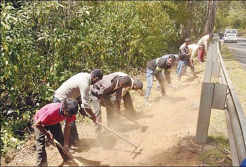 பைக்காரா வனப்பகுதியில் தீத்தடுப்பு கோடுகள் அமைக்கும் பணி மும்முரம்