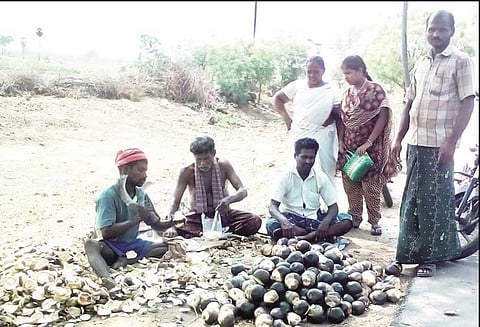 கொளுத்தும் வெயிலை சமாளிக்க நுங்கு விற்பனை அமோகம்