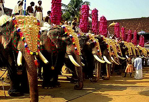 கோவில் திருவிழாவில் மதம் பிடித்த யானை கல்லை தூக்கி வீசியதில் பாகன் பலி