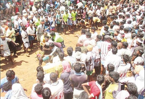 கீழையூரில் ஜல்லிக்கட்டு: சீறிப்பாய்ந்த காளைகள் முட்டியதில் 25 பேர் காயம்