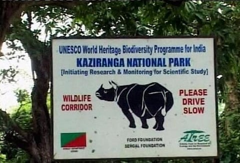 காசிரங்கா தேசிய பூங்காவில் அதிவேக வாகனங்களுக்கு ரூ.5 ஆயிரம் அபராதம்; தேசிய பசுமை தீர்ப்பாயம் உத்தரவு