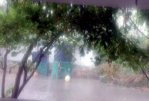 2-வது நாளாக மழை: எடப்பாடியில் விவசாய பயிர்கள் நீரில் மூழ்கின