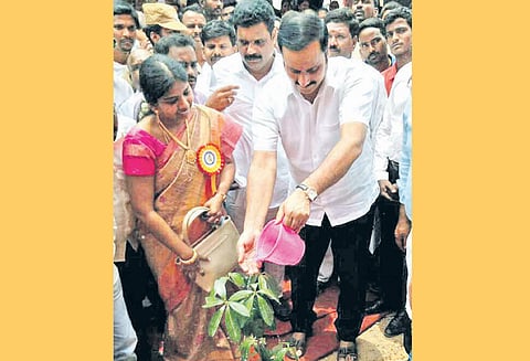 தனியார் பால் நிறுவனங்கள் கலப்படம் செய்தால் நடவடிக்கை எடுக்க வேண்டும்; அன்புமணி ராமதாஸ் எம்.பி. வலியுறுத்தல்