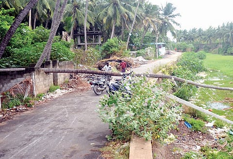 பலத்த மழை: அணைகளுக்கு நீர்வரத்து அதிகரிப்பு சாலையின் குறுக்கே மரம் சாய்ந்தது