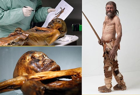 5,300 ஆண்டுகளுக்கு முன் இருந்த பனி மனிதனை கொன்றது யார் விசாரணை?