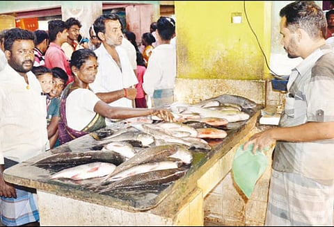 தஞ்சை மார்க்கெட்டுக்கு மீன்கள் வரத்து குறைவு