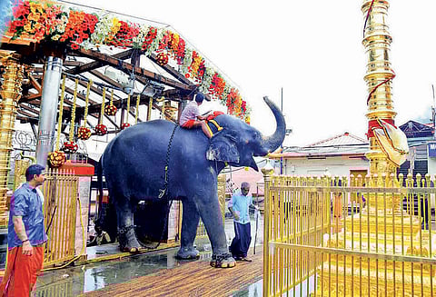 சபரிமலை அய்யப்பன் கோவில் ஆராட்டு திருவிழா