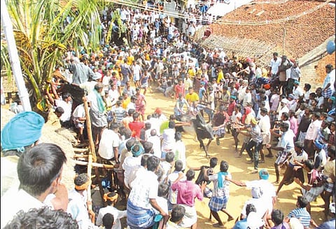 சாத்தமங்கலம் கிராமத்தில் ஜல்லிக்கட்டு; 15 பேர் காயம்